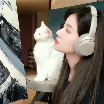 探索发现秘境追踪第五季